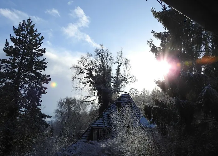 Wohnen Im Wald