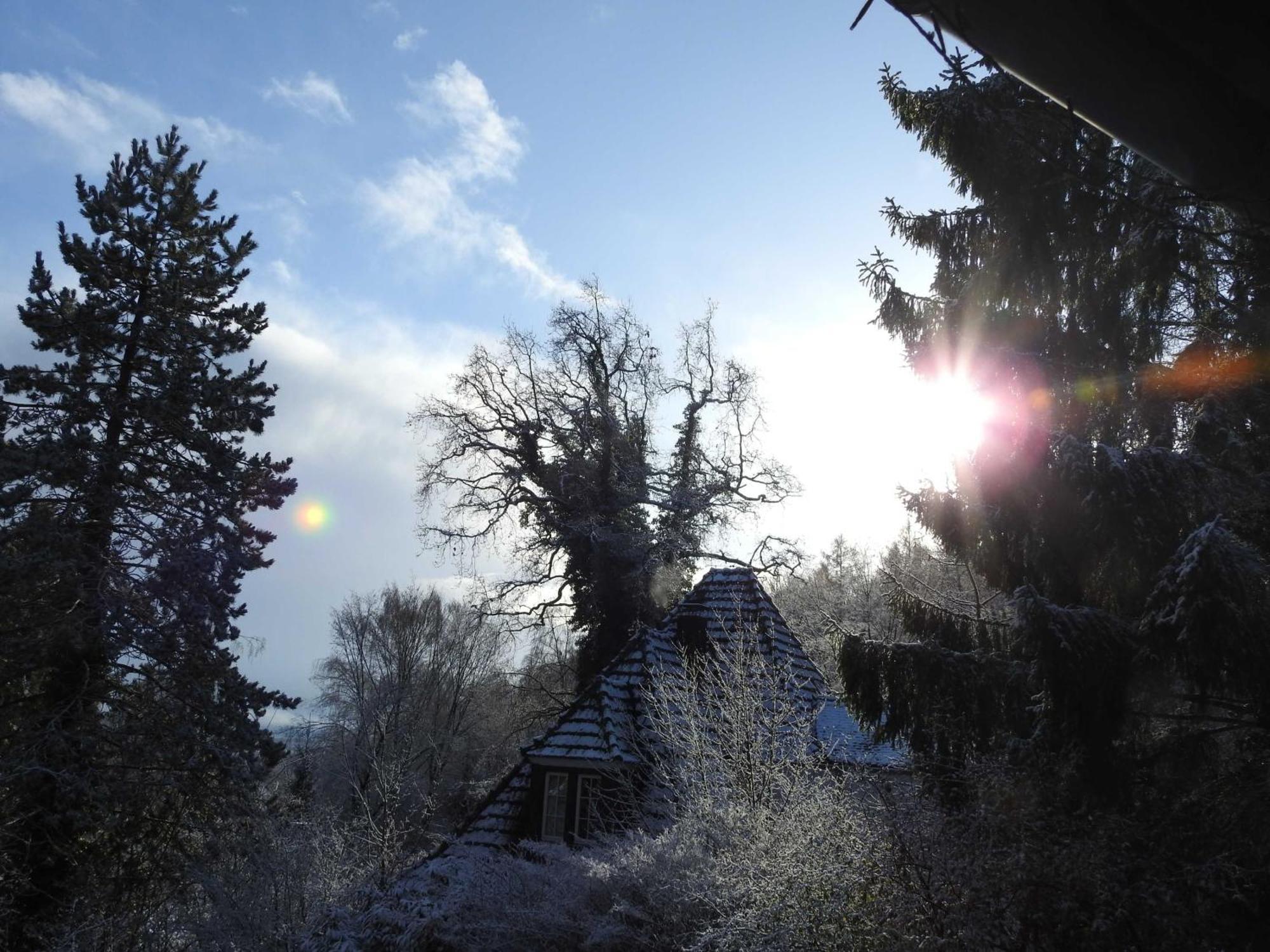 Wohnen Im Wald Homestay Kassel